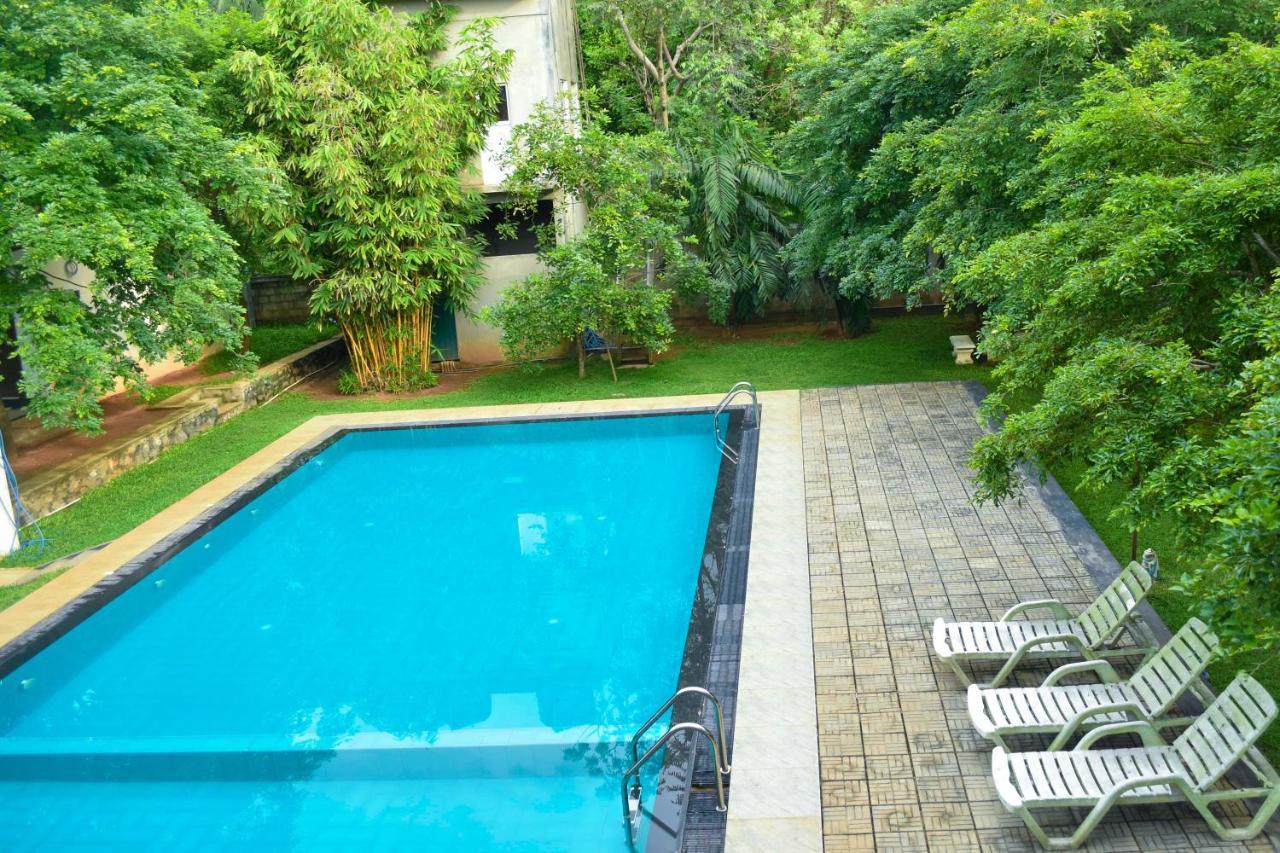 דמבולה Pivisuma Lodge מראה חיצוני תמונה