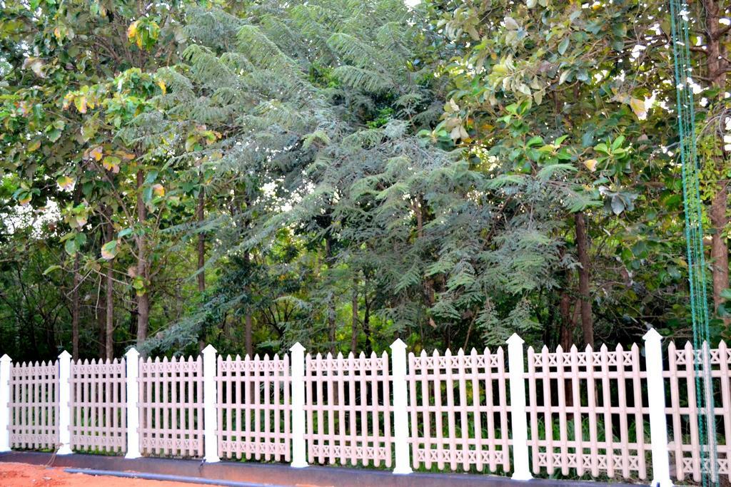 דמבולה Pivisuma Lodge מראה חיצוני תמונה